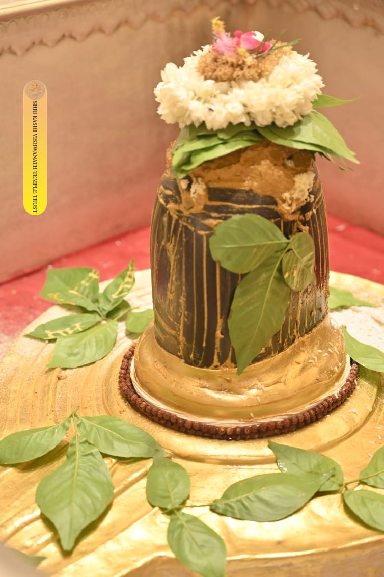 सदा शिव,  सर्वदा शिव 🚩
#महादेव_सरकार 🙏
