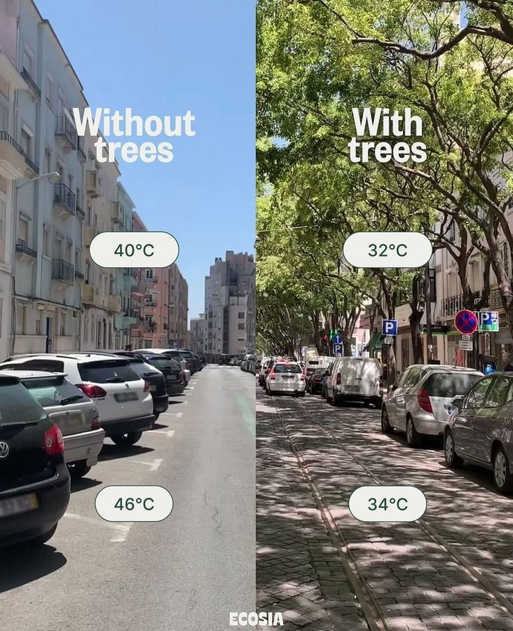 ShadowHarmony tweet media