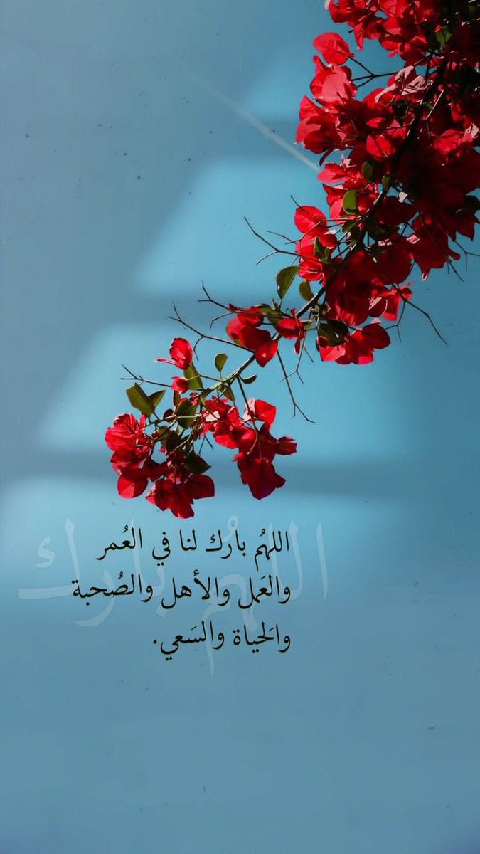 #صباح_الخير_والحب_والسلام 
#صباح_الخير 

اللهم آمين.