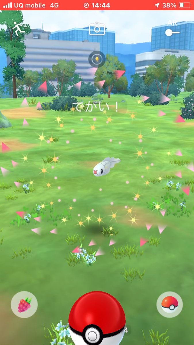 ruki_ruki_ruki's tweet photo. 昨日シビシラスのコミュデイ
でかい!ちっちゃい!
#ポケモンGO
#PokémonGO
#TynamoCommunityDay
#PokémonGOCommunityDay
#Tynamo https://t.co/y6DrhmXHpl