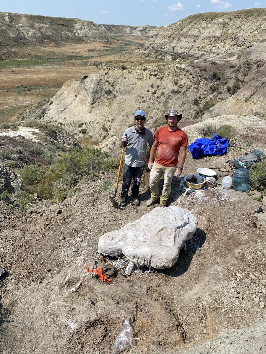 David Evans tweet media