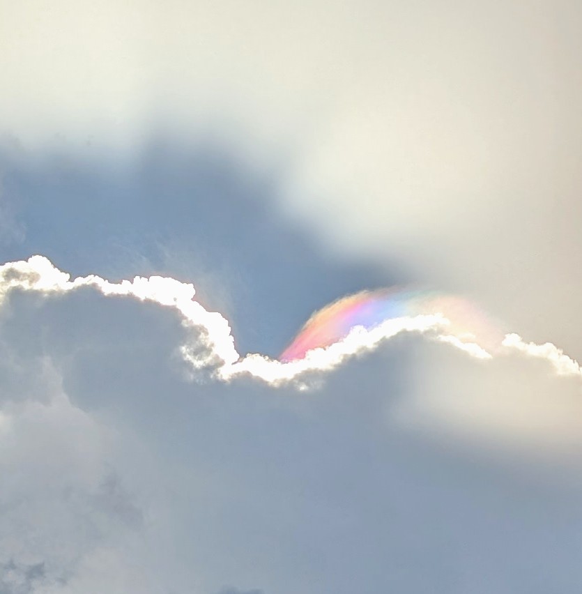MizShan71's tweet photo. Pretty iridescent/rainbow clouds in Oviedo, FL this afternoon. #stormhour @StormHour https://t.co/irmH7Oi4CT