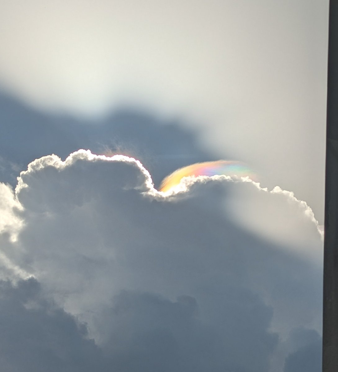MizShan71's tweet photo. Pretty iridescent/rainbow clouds in Oviedo, FL this afternoon. #stormhour @StormHour https://t.co/irmH7Oi4CT