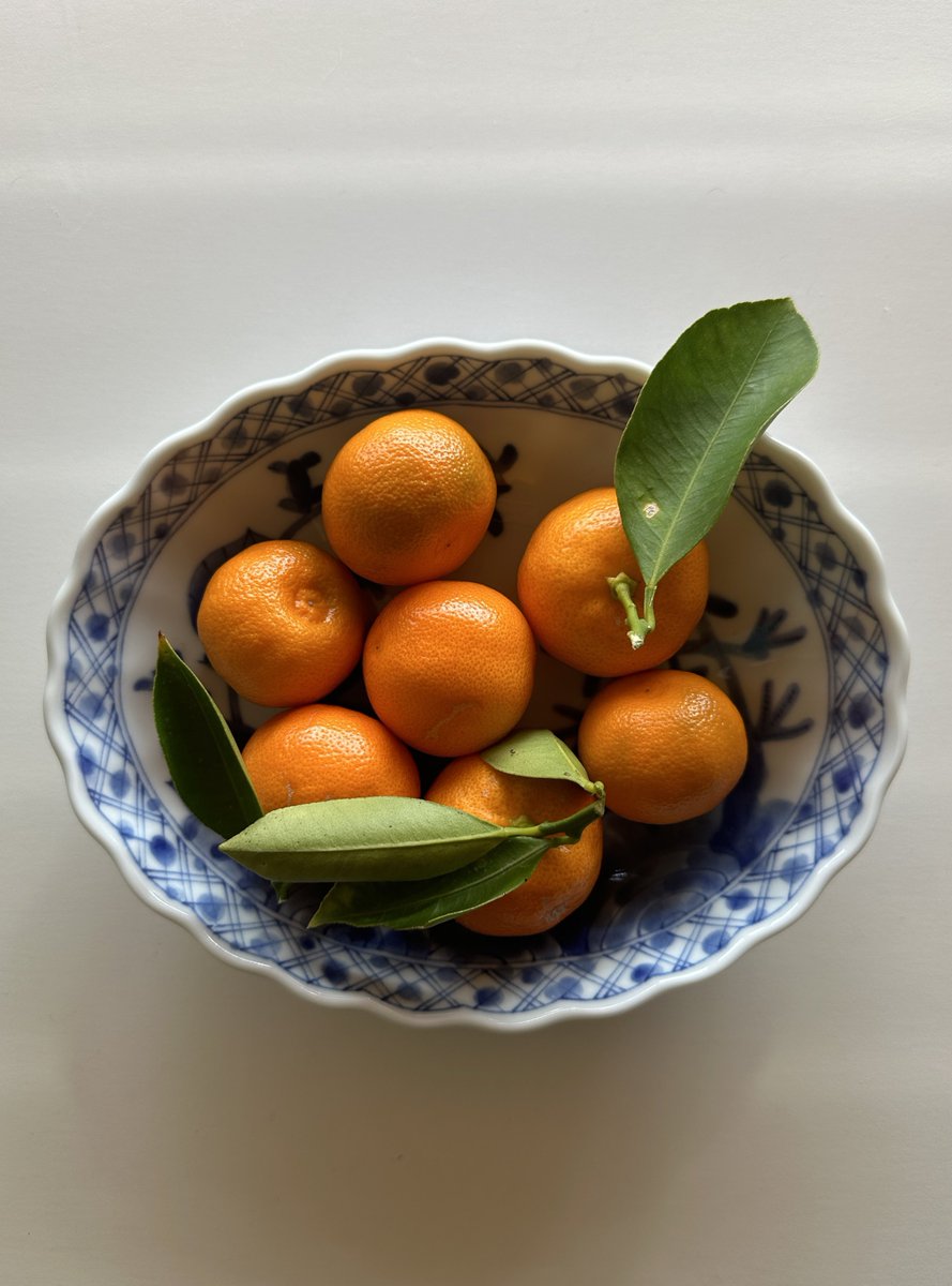 these were all picked off of my very own tree which makes me the richest person on earth i believe