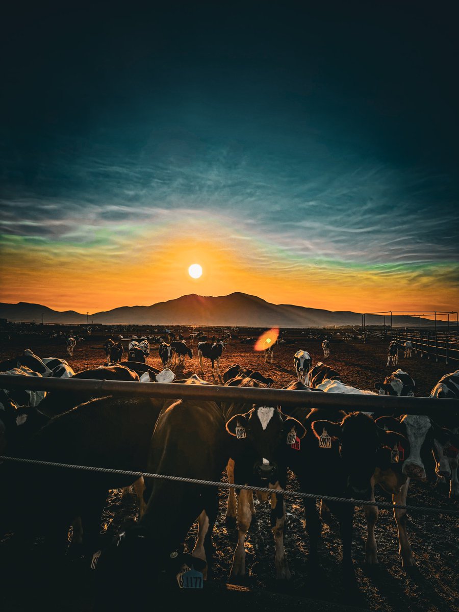 We all come up with the sun around here 🌞