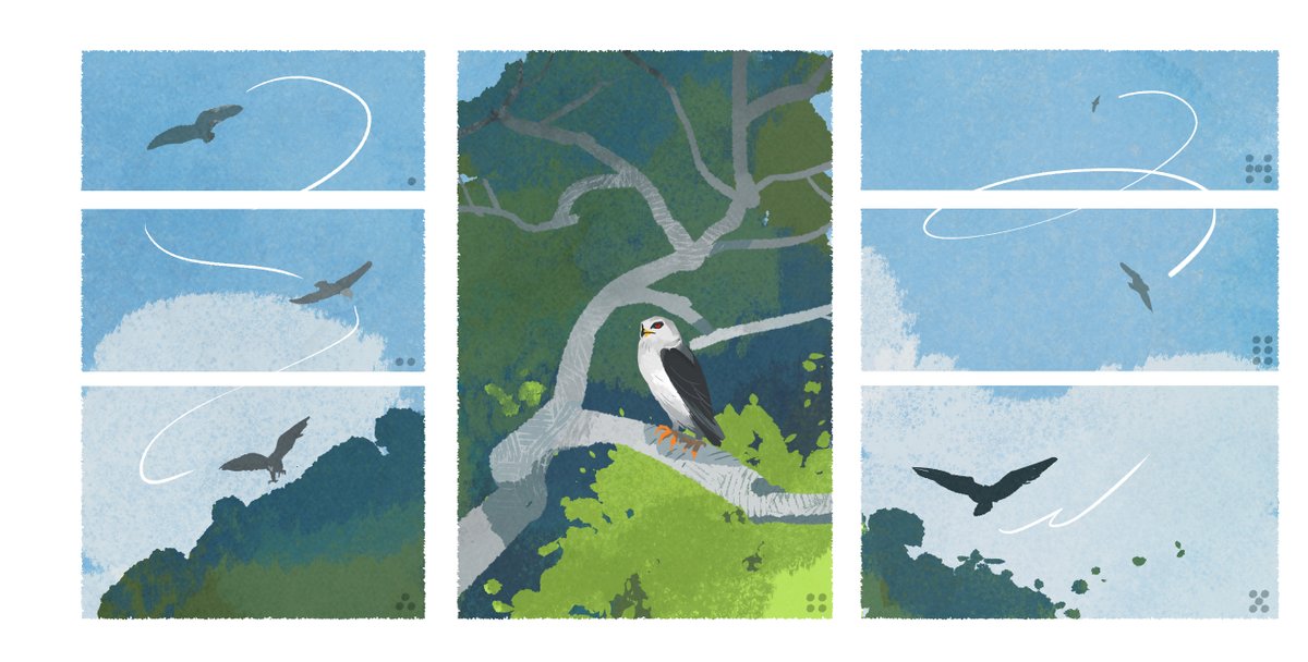 🔭🐦‍⬛ 