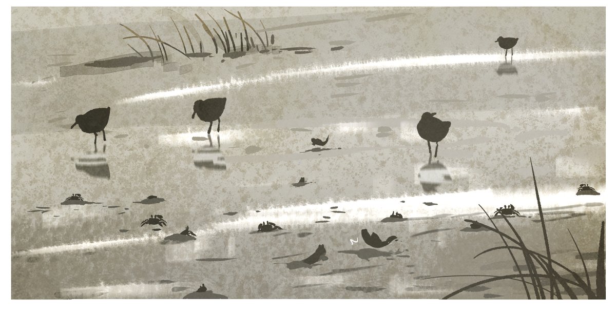 🔭🐦‍⬛ 