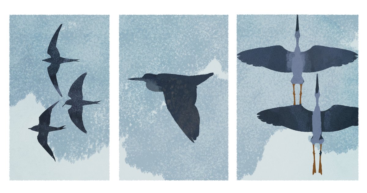 🔭🐦‍⬛ 