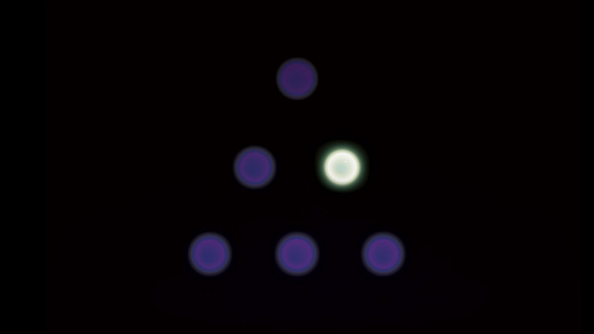 Muse Machine (@themusemachine) on Twitter photo 