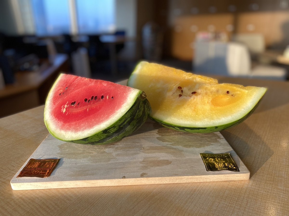 スイカ様❣️専用ページ 今朝はスイカ農家「岩澤農園」の岩澤正則さんにお話をお伺いしました
