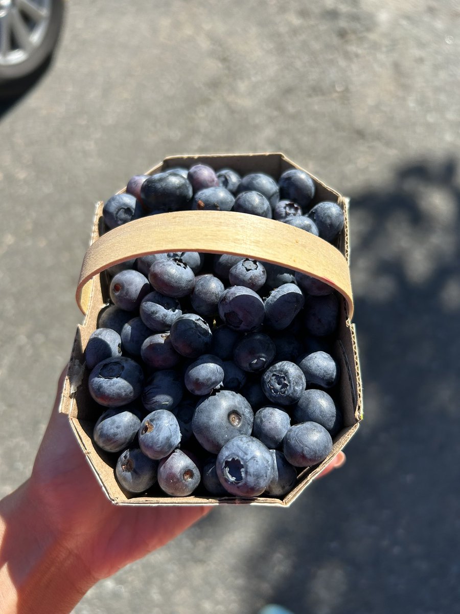 RushelynM's tweet photo. a beautiful day #lake #fruits https://t.co/jnLVJYU2qR