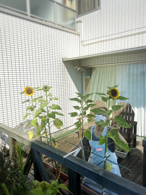 おはようございます！    
静岡市大谷付近は晴れて暑いです😊 
今週も始まりましたね👍
無理せずに頑張りましょう😊
#企業公式が毎朝地元の天気を言い合う 
#デイサービス #イマソラ