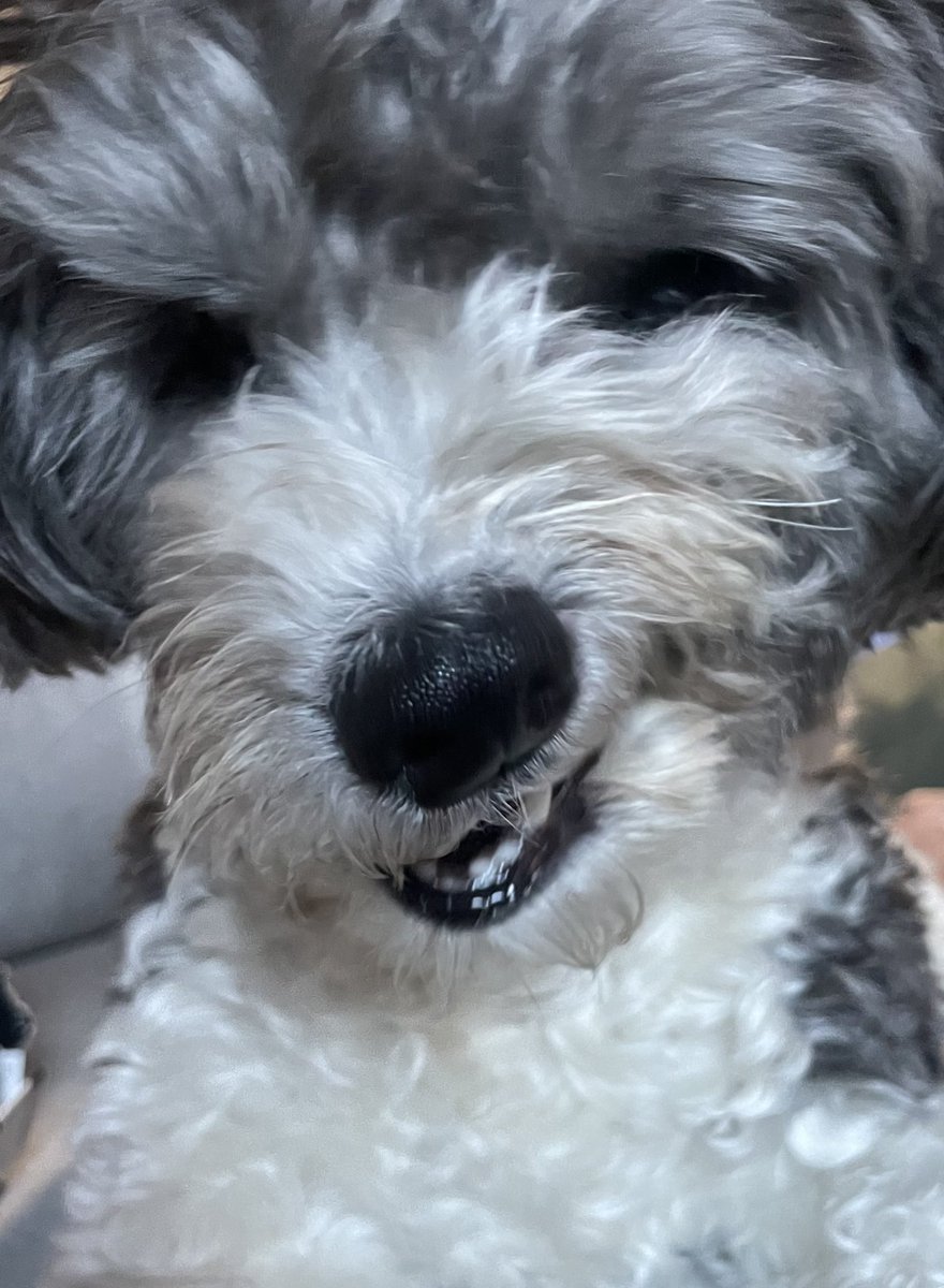 Yael Eisenstat tweet media