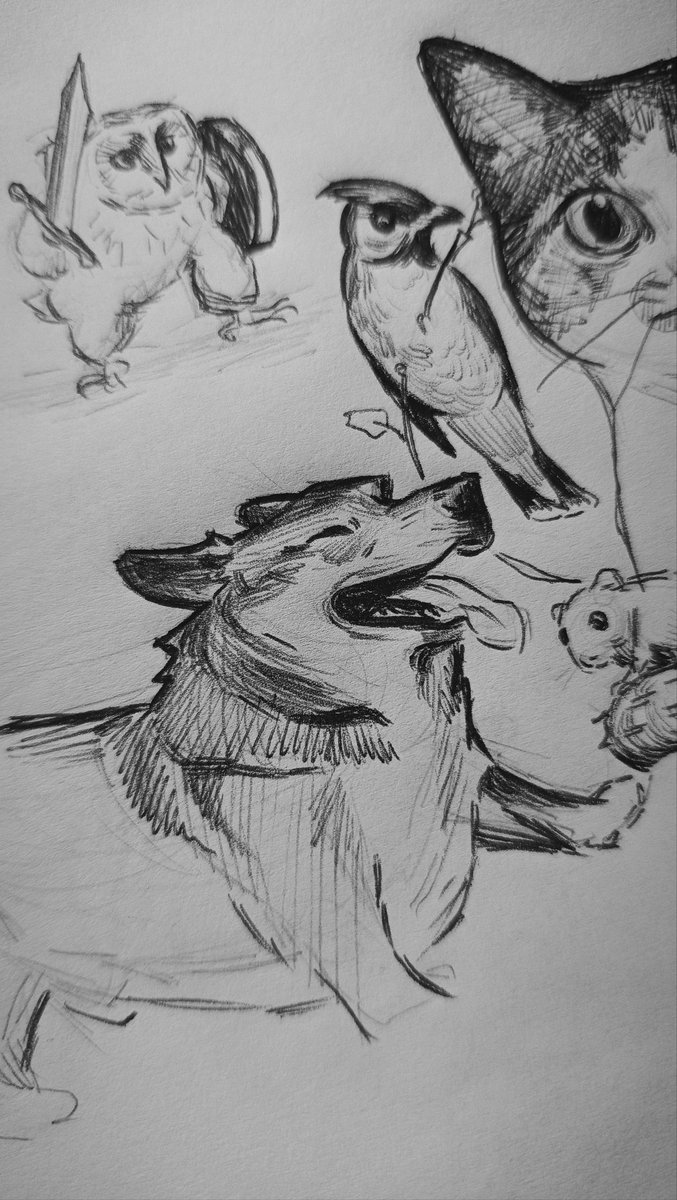 felipe00li's tweet photo. Desenhos de um domingo à noite https://t.co/Zpt7QObi08