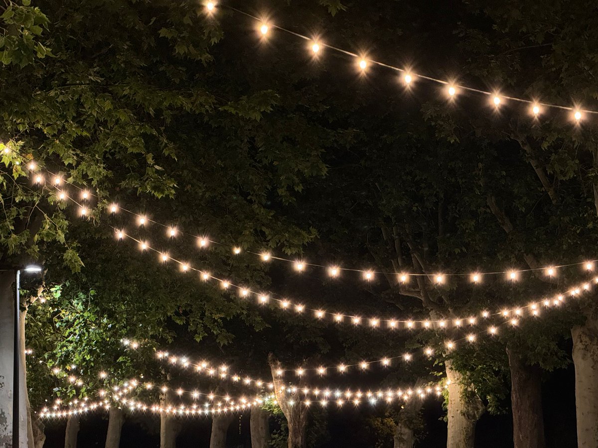 silvia passeig tweet media