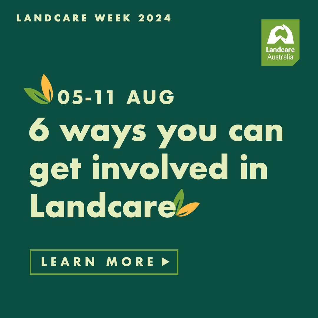 LandcareAust's tweet photo. Only 2 weeks to Landcare Week 🥳
How can you get involved this Landcare Week 2024?
Visit https://t.co/NC9jdxKnSV
#LandcareWeek #environment #volunteer #sustainable #LIFE https://t.co/0zS0RaqT5u