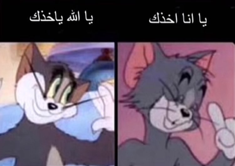 قانوني بالحياة 🦦 :