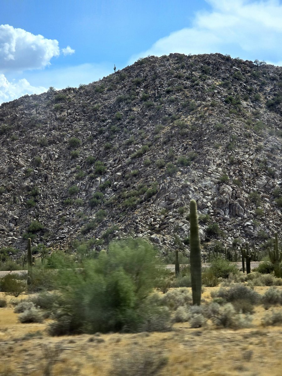 Sandra Yoakum tweet media