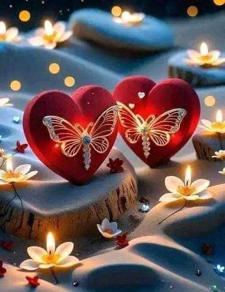 💕أمل الندى💕 tweet media