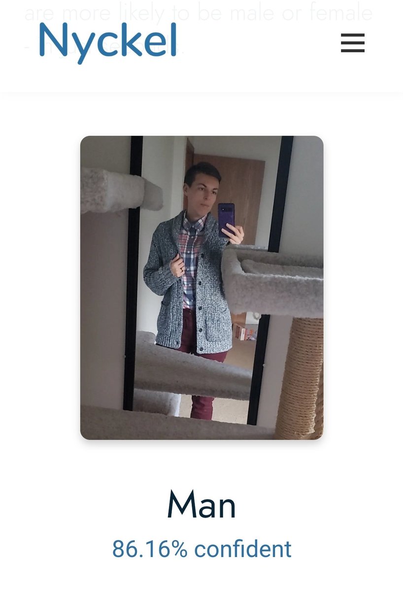 Señor Drache 🏳️‍🌈 tweet media