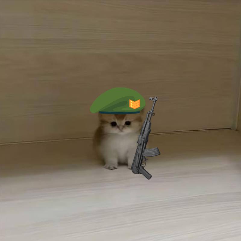 pupsiCTO's tweet photo. @teenybaba BABA TO A DALLA https://t.co/dqgZUkKpiF