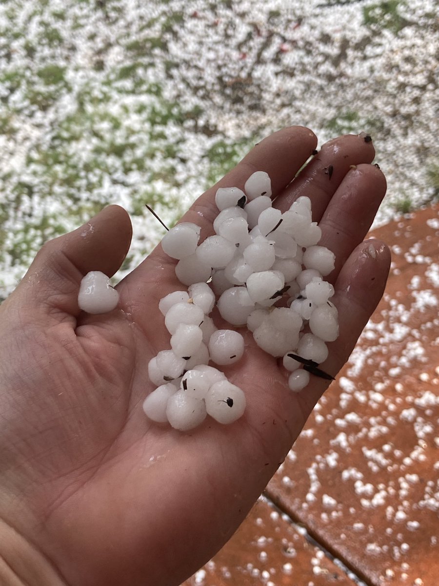 Matt Hobson tweet media