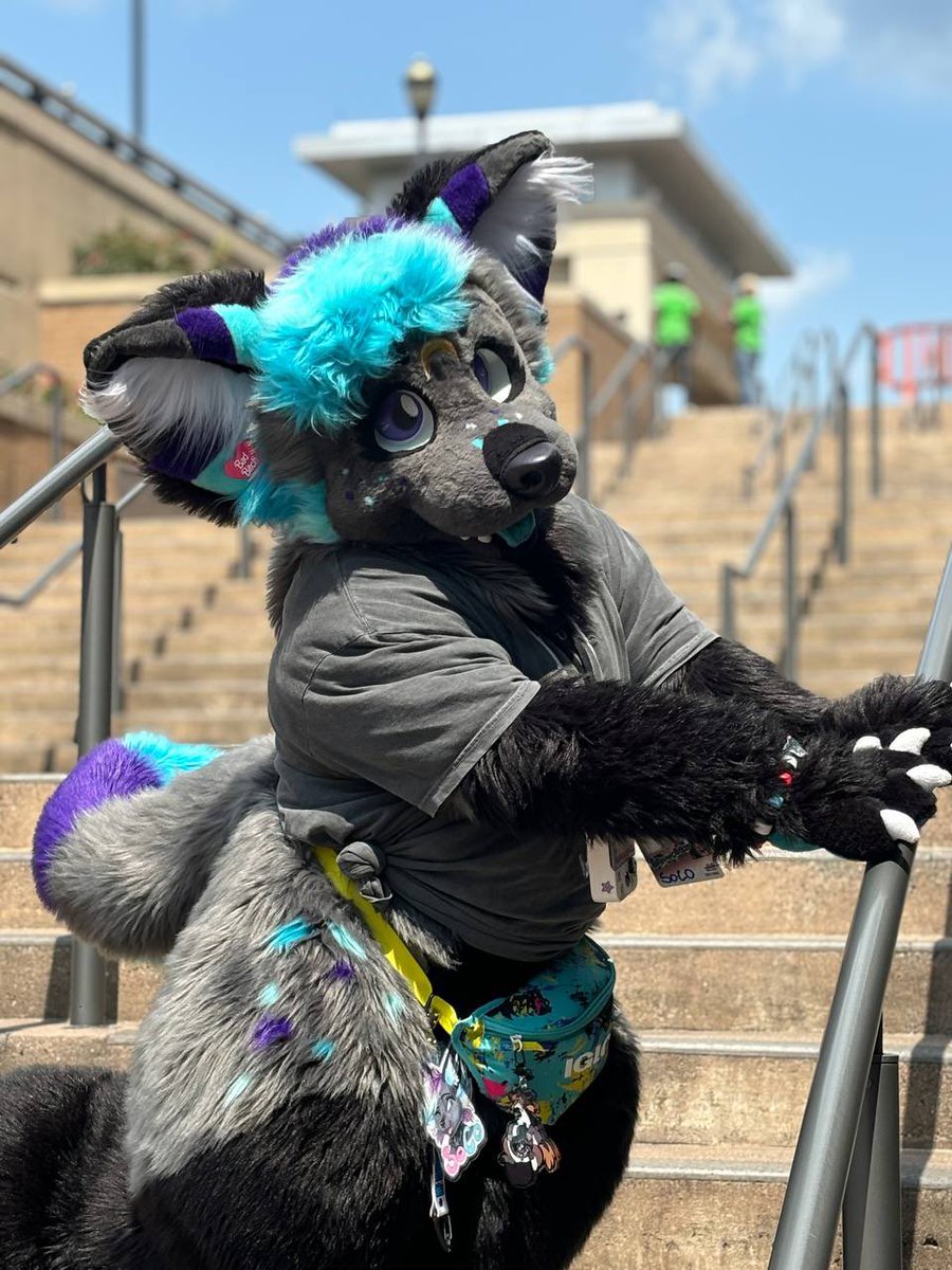 Freakishclown's tweet photo. Silly dog ended up at stair con
#CTCon #Connecticon
📸: @thatk9drag https://t.co/tgpa9MQPLM