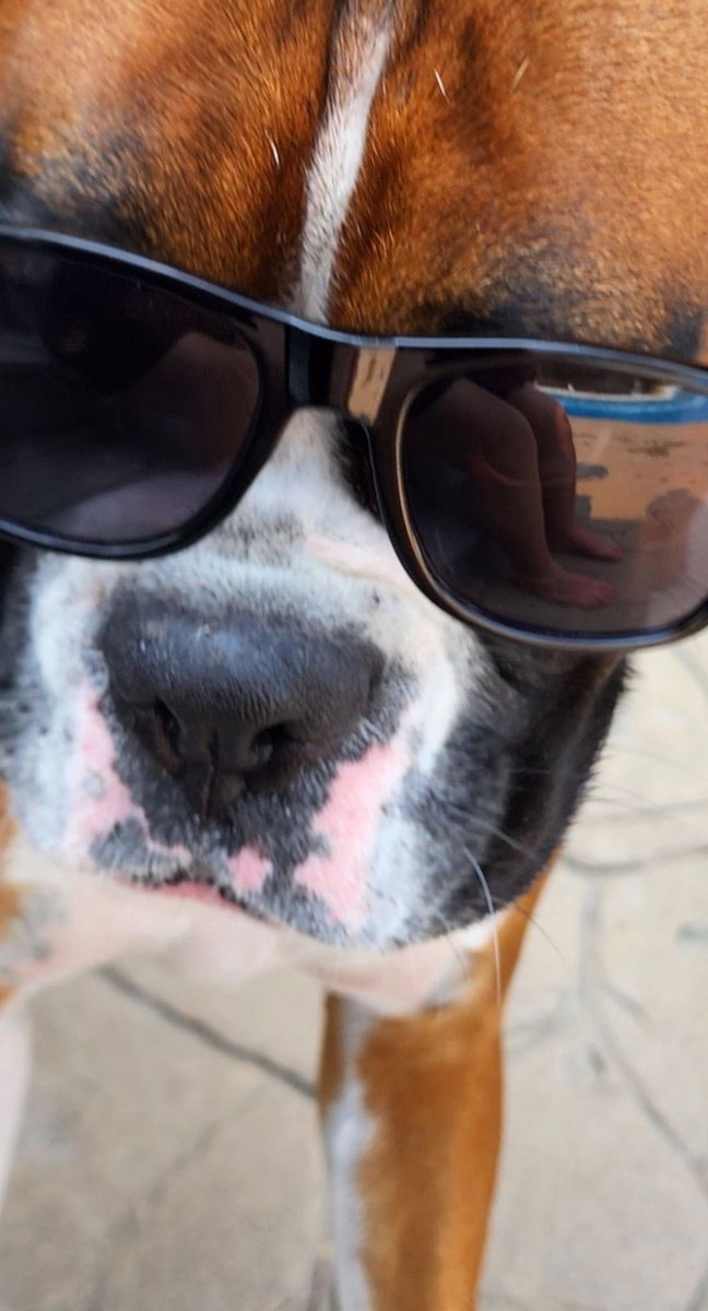 Tracy Koga tweet media