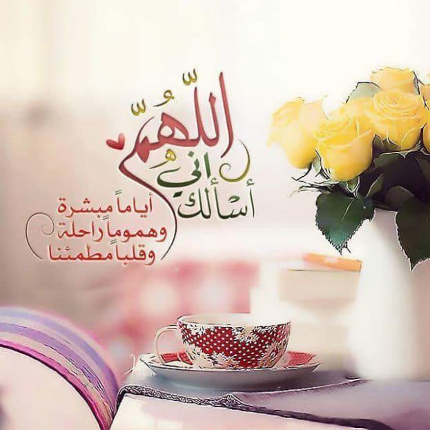 ZAHRA tweet media