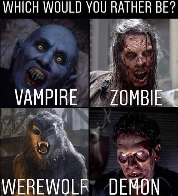 House of Dracula (☥𝐃𝐁) tweet media