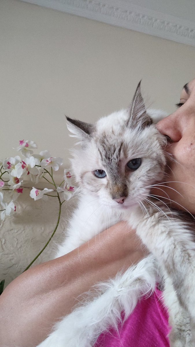 Você se foi e partiu meu coração em tantos pedaços meu amorzinho 🥹😭😭😭💔💔💔💔💔