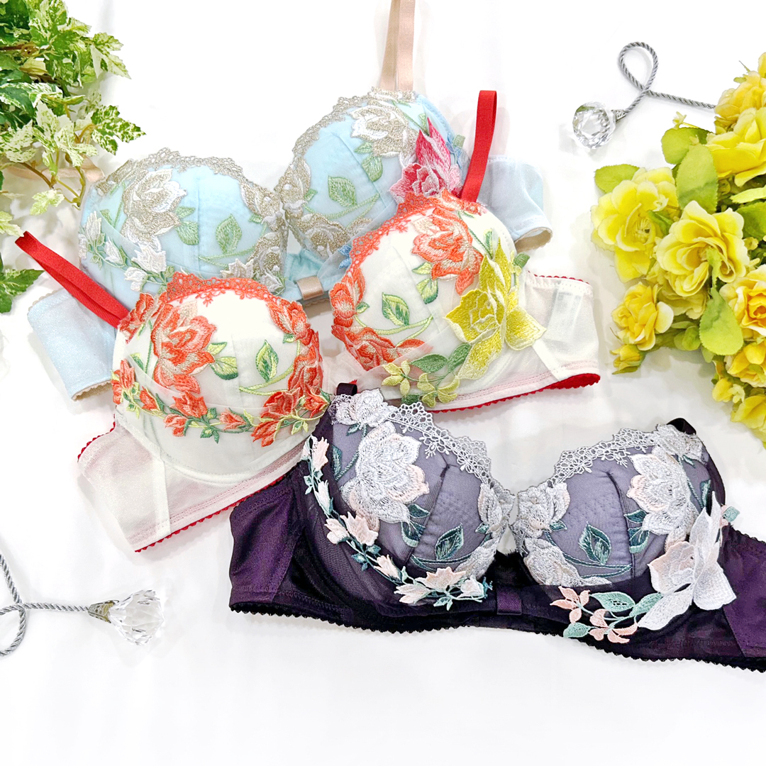 C70 M サルート salute 42グループ ブラジャー Tバック ソング