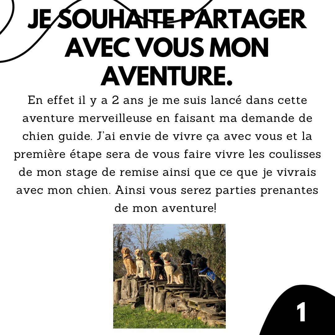 mathys75001's tweet photo. LE MONDE DES CHIENS GUIDES ET DE LEURS AMIES :
UN PROJET DE SENSIBILISATION
AINSI QU'UNE
AVENTURE COLLECTIVE. Crédit photo : école de chiens guides de #Paris. #ChiensGuides #Handicap 1/2 https://t.co/OxrxmfRH18