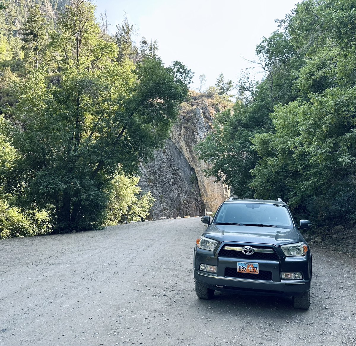 RiotBarks's tweet photo. went for a hike https://t.co/FjoHJFsnkx