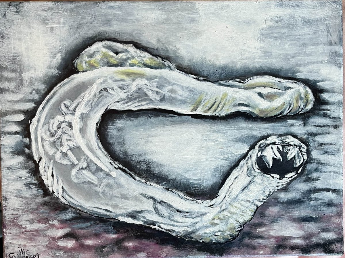 CamixGArts's tweet photo. My painting of the hookworm Ancylostoma canimum  

Progress video on my Youtube channel  

#hookworm #artistsontwitter #ancylostoma #painting #love #DigitalMarketing https://t.co/xhRojs0Vzc