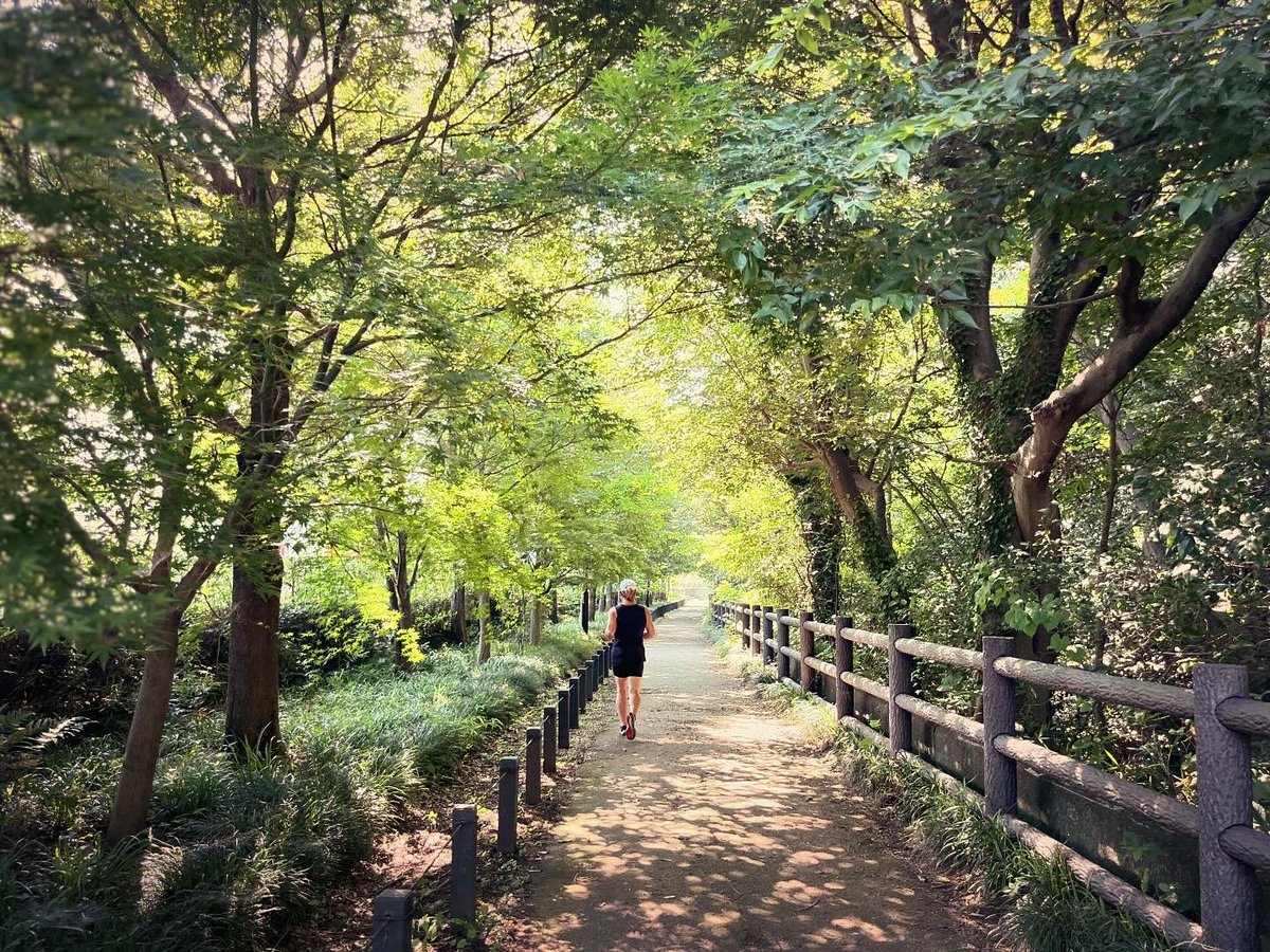 curanosuke's tweet photo. 今朝も木陰を求めて玉川上水ショートコース。

昨日の夜はお家で鰻。
スーパーでも高いねー。

#suuntoで5km走りました
#JUSTRUNWITH. https://t.co/RLt6mDQhrX