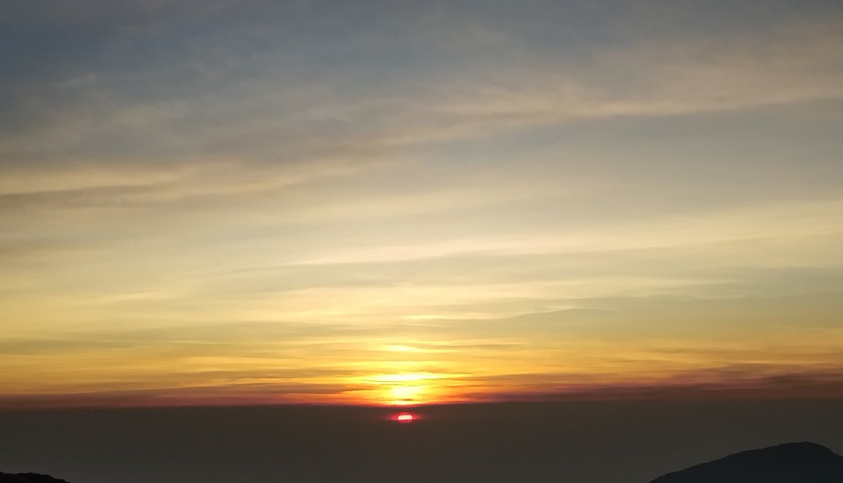 พีพี tweet media