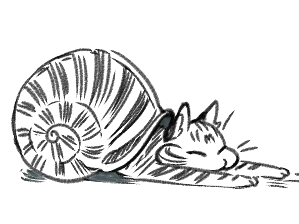 Flufle's tweet photo. my cat if she was a snail https://t.co/w50sWxV9Re