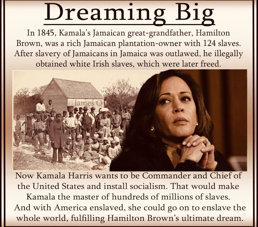 shadygrooove's tweet photo. Will #KamalaHarris2024 pay the reparations she owes for her families colonizing ownership and exploitation of slaves? 

#HamiltonBrown https://t.co/j3vzlPYTOS