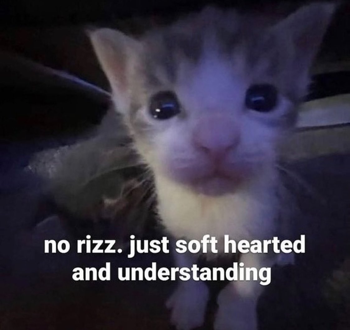 PunchingCat's tweet photo. https://t.co/hOPj5ArBfW