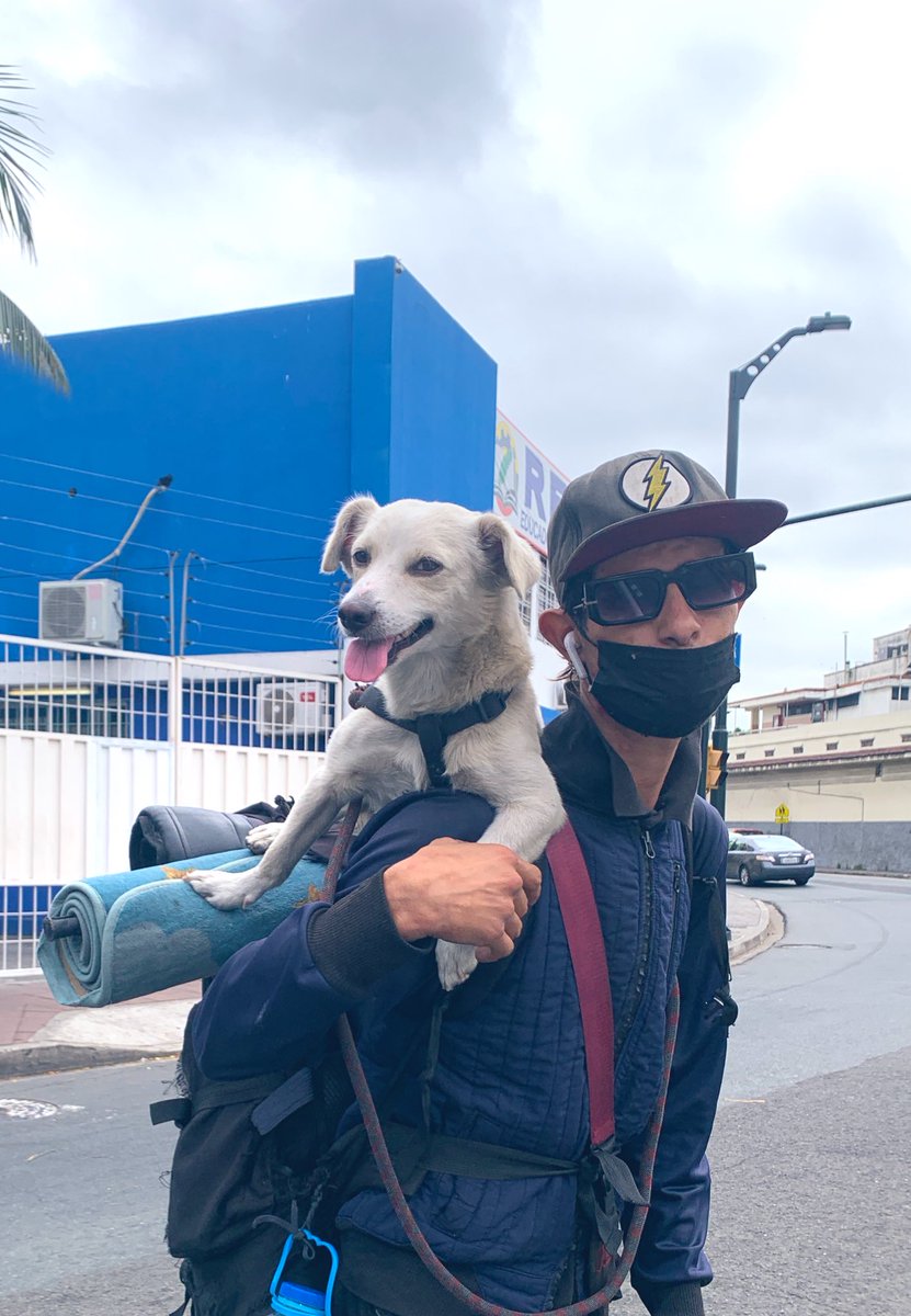 Ron_con_Cola's tweet photo. Esta mañana conducía al centro de la ciudad cuando me reencontré con esta persona y su fiel mascota Blackie. #countyourblessings https://t.co/frZI07Qtvl