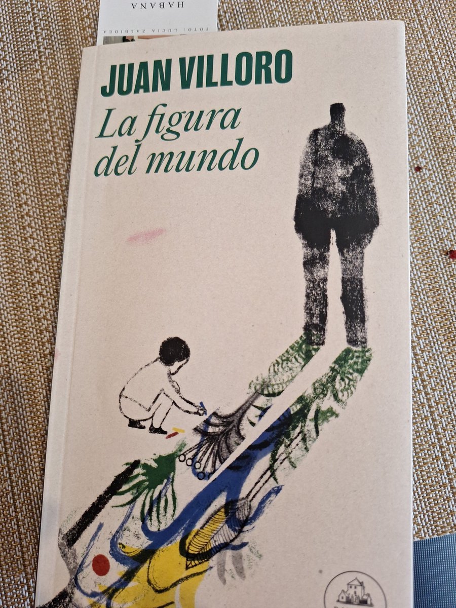 Todas las familias son disfuncionales y la mayoria de ellas puede reclamar el prestigio de contar entre sus filas con un loco certificado. Juan Villoro.