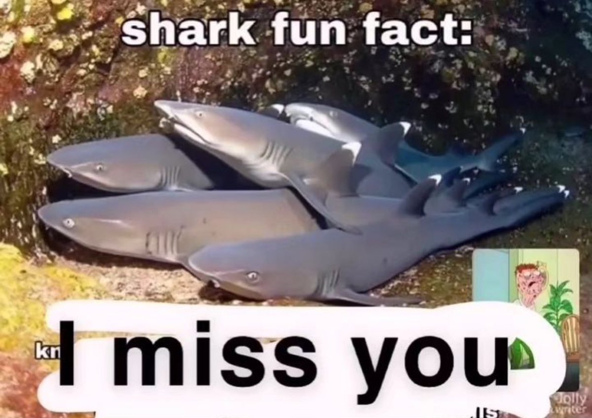 hope hopes hoping tweet media