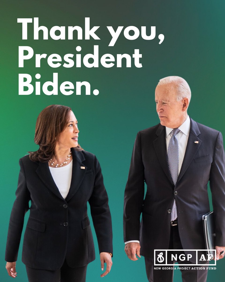 New Georgia Project Action Fund tweet media