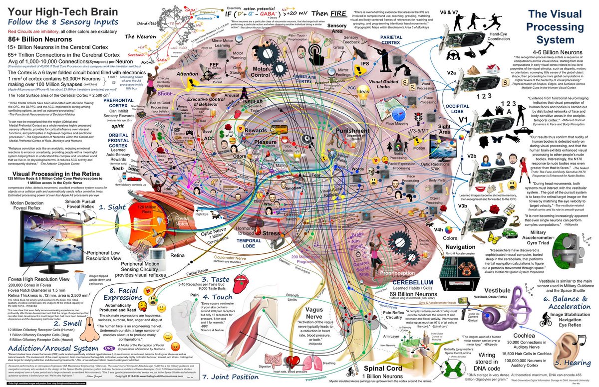 A simplified Brain functions map

#MedEd #MedX #brain #Science