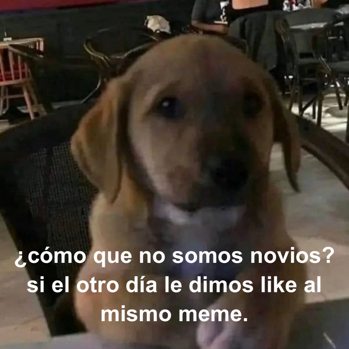 la_memensa tweet media