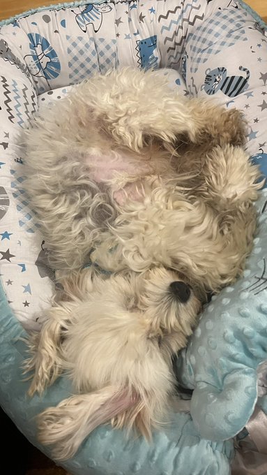 Amaranta’s pics and videos