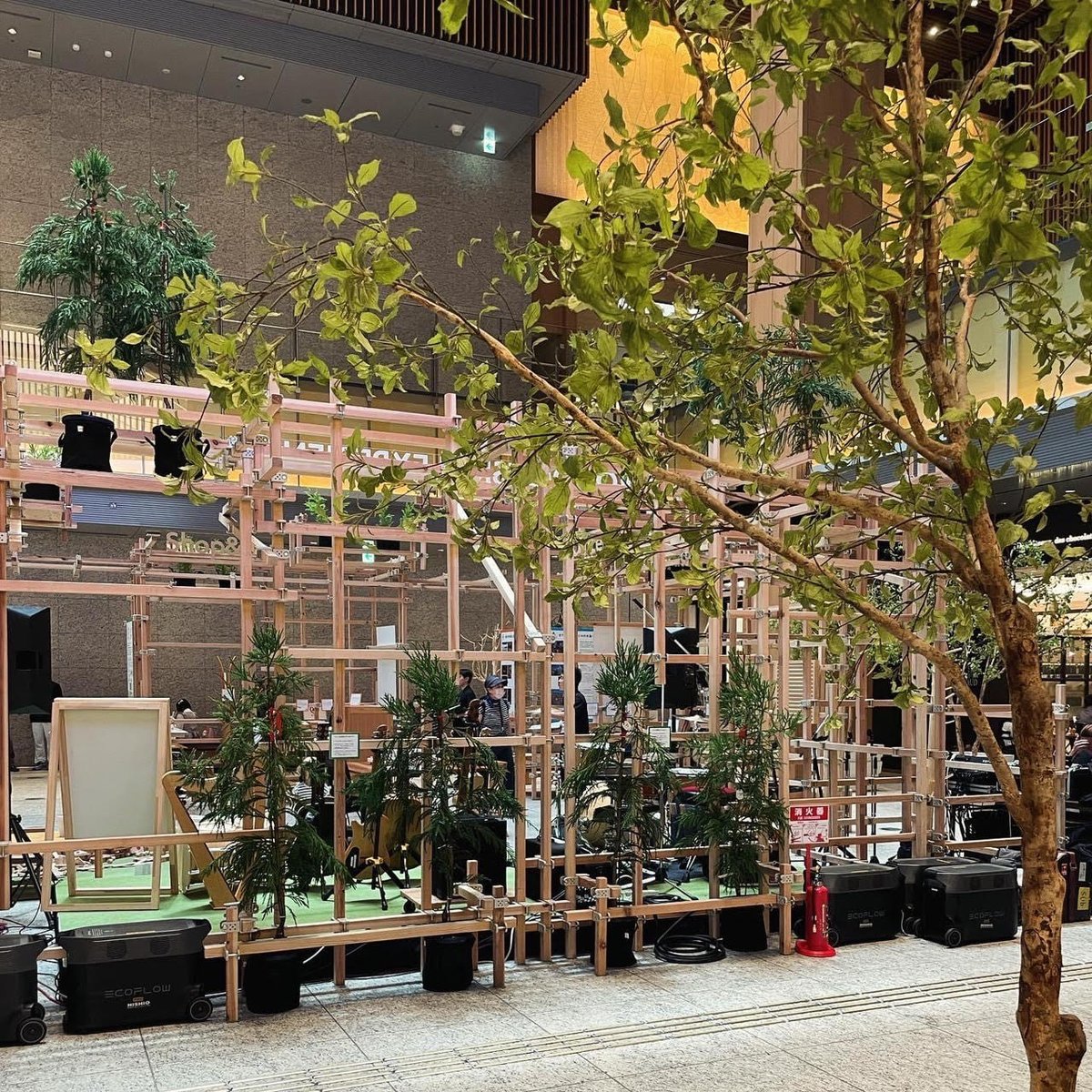 Tsunagi_Wood's tweet photo. 7/5（金）・7/6（土）に「WOOD DESIGN EXPERIENCE ～木を使って、暮らしと街と社会を良くする2日間 @名古屋」が名古屋KITTEにて開催されました🌳

「つな木」を利用した木質空間に、様々な木のプロダクトが展示されました！

丸の内で使用したつな木を組み直して再利用しています！ https://t.co/mD23OerArC