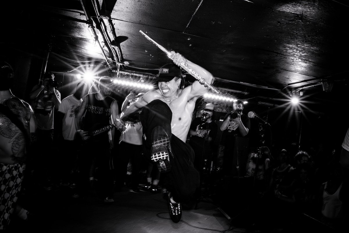 stellakelly🇻🇳 tweet media