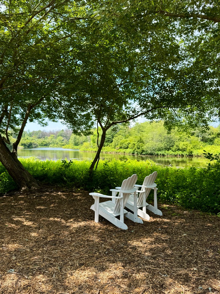 mcapiraso's tweet photo. Sunday afternoon view 😊
#SeeOnMyRun 🏃 https://t.co/H3l31aBMpw